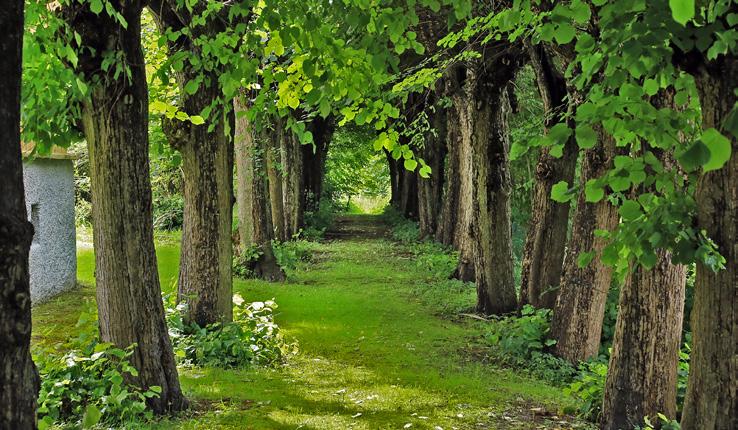 Lunnagården om en herrgård från 1700-talet, om en förändrad produktion från spannmål och brännvin till grönsaker och mjölk och till ja vad då? Lunnagården ligger på Fässbergsdalens södra sida.