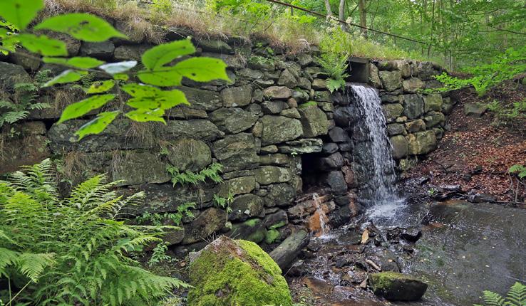 Lackarebäcks gård, Svejserdalen, Ekekullen om en lockande bäckravin, om en livsstil och om ett stort intresse för forntiden.