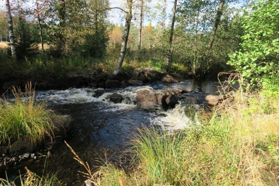 Vandringshinder D3- Stentröskel vid Hylte Vandringshinder D3 utgörs av en anlagd stentröskel. Syftet med tröskeln är oklart.