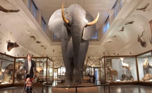 Visningarna hålls när det är lugnt i muséet och Lotta använder bildstöd och tecken som stöd.