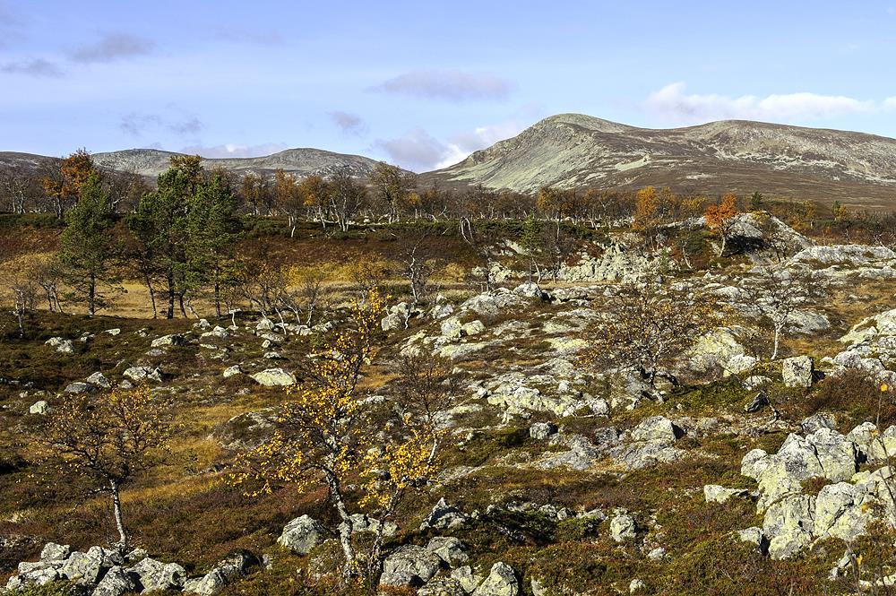 Sammanfattning av finansiell redovisning SGI:s två ramanslag år 2014 innehöll totalt ett disponibelt belopp på 58 534 tkr.
