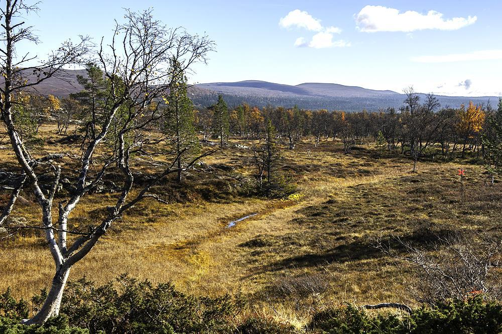 Inom geoteknisk och miljögeoteknisk forskning och utveckling är antalet årsarbetskrafter (Åak) mätt i arbetade timmar 24,1. En ökning med 3,6 årsarbetskrafter jämfört med föregående år.