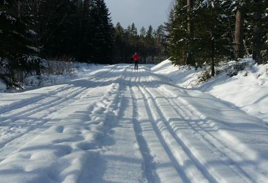 Spårområdet Under hösten har Sveaskog avverkat skog på områden där skidklubbens spårområde berörs, störst förändringar syns i närområdet till Myrtomta.