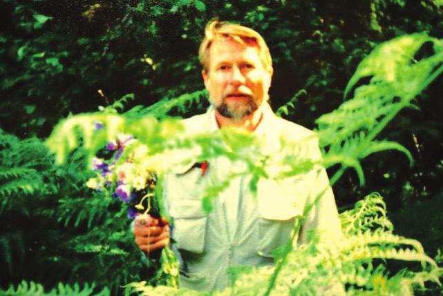 Högt gräs och brännässlor, stora svarta myggor som inte har njutit av svenskt blod på 47 år.