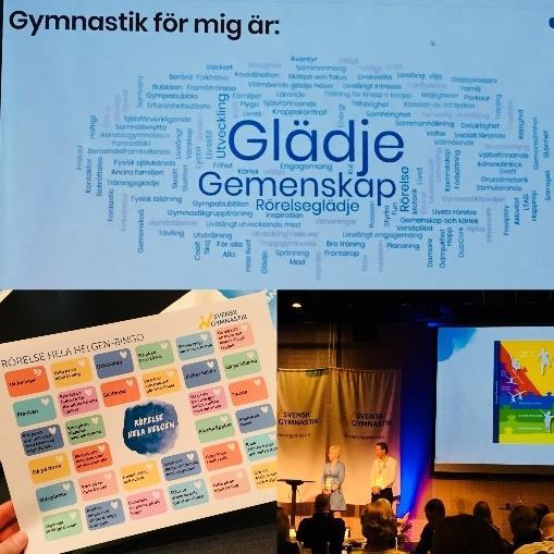 Helgens huvudtalare var Dr. Dean Kriellaars. Han pratade om physical literacy, det vill säga rörelserikedom, och kopplingen mellan mental och fysisk träning.