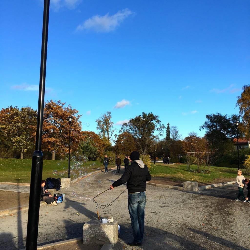 På eftermiddagen tog vi oss ut på en promenad på Djurgården.