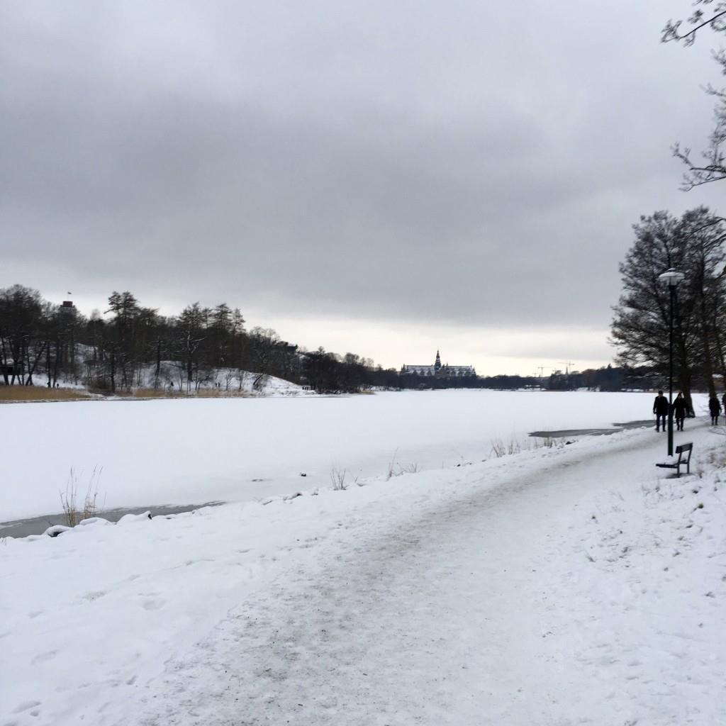 Sen klädde jag på mig ordentligt för att gå två varv till grovsoporna (hade så jäkla mycket kartonger suck) för att sedan gå en långpromenad med Carro och Morris.