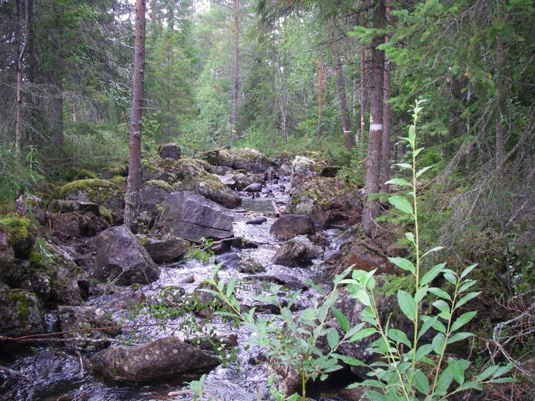 Variationen av miljöer är liten i fåran och förutsättningar för artrikedom små.