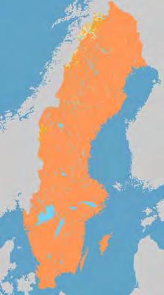 Nordisk fladdermus, Eptesicus nilssonii Nordisk fladdermus är den vanligaste fladdermusarten i Sverige. Den förekommer från sydligaste Skåne till norra Lappland, inklusive Öland och Gotland.