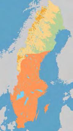 Vattenfladdermus, Myotis daubentonii Vattenfladdermusen är en av de vanligaste arterna i södra Sverige, men har även en utbredning norrut ända till mellersta Norrland.