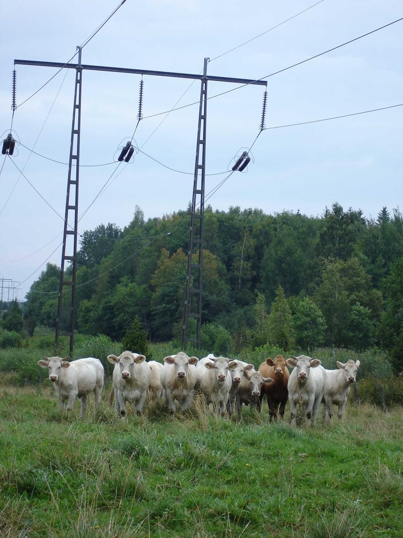 Verksamhet Mjölby kommuns krishanteringsråd möts en gång per år.