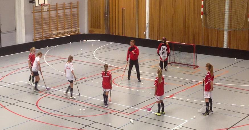 Så gick det: Vi startade upp breddverksamhet för både tjejer och killar