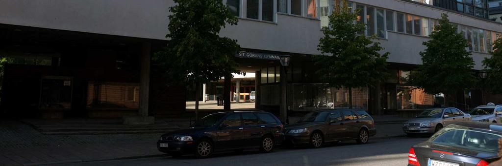 bland grönska.