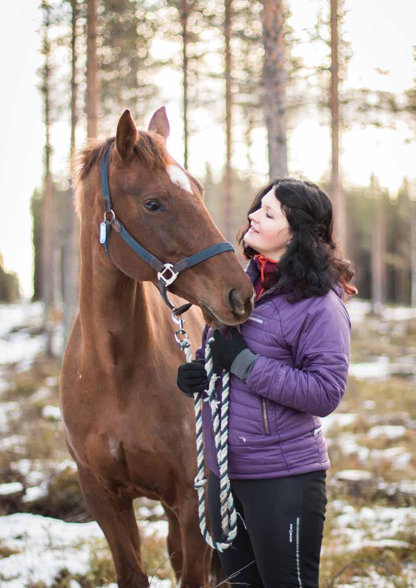 NYA Delas ut till ca 7500 hushåll i MALÅ -