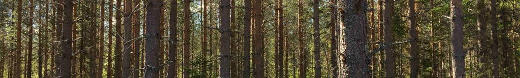 markberedning, plantor och plantering, hyggesrensning,