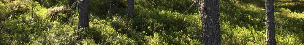 se/alvdalen/delagare /bidrag/ eller tel: 0251-106 95.