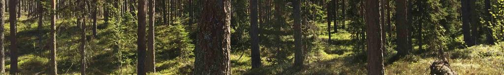 att åkt över bron och Rotälven sväng vänster och