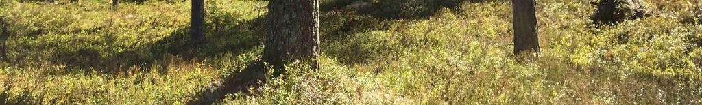 Se översiktskarta/vägkarta i skala 1:50 000 och