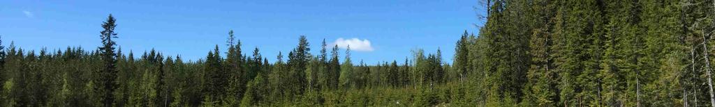 Natur och Kultur På fastigheten finns en registrerad (SKS) Nyckelbiotop om totalt 0,6 ha i avdelning 8. Arealuppgifter Fastighetens areal enligt fastighetsregistret uppgår till 28,1354 ha.