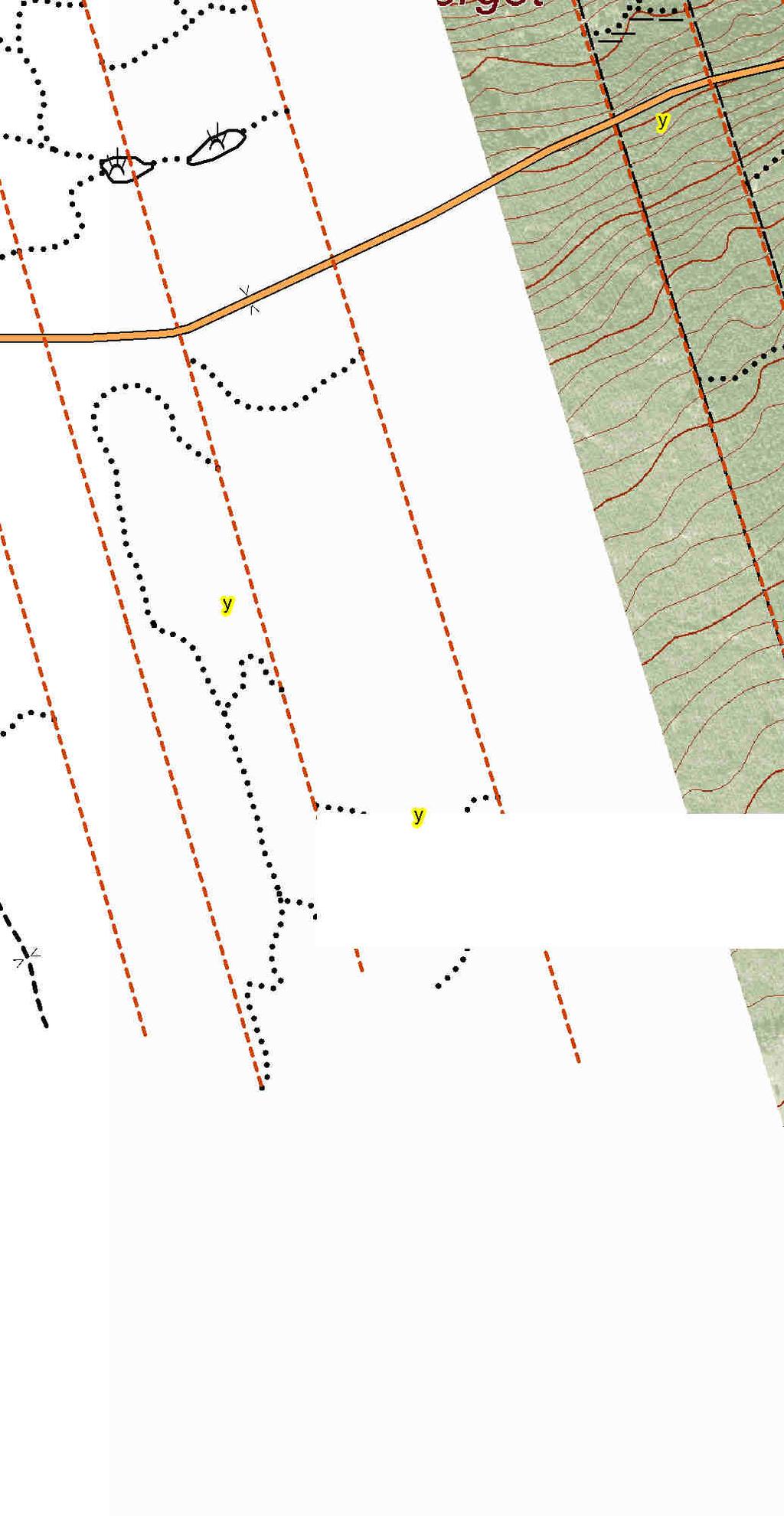 Skog AB Utskriftsdatum