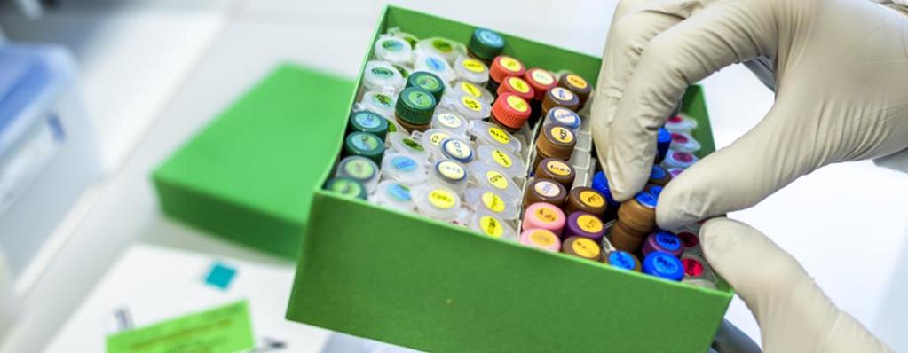 Idogens utvecklingsprojekt IDO 8 NÄR KROPPENS IMMUNFÖRSVAR ANGRIPER FAKTOR VIII, ETT LIVSVIKTIGT LÄKEMEDEL IDO 8 är Idogens längst framskridna projekt och syftar till att utveckla en tolerogen