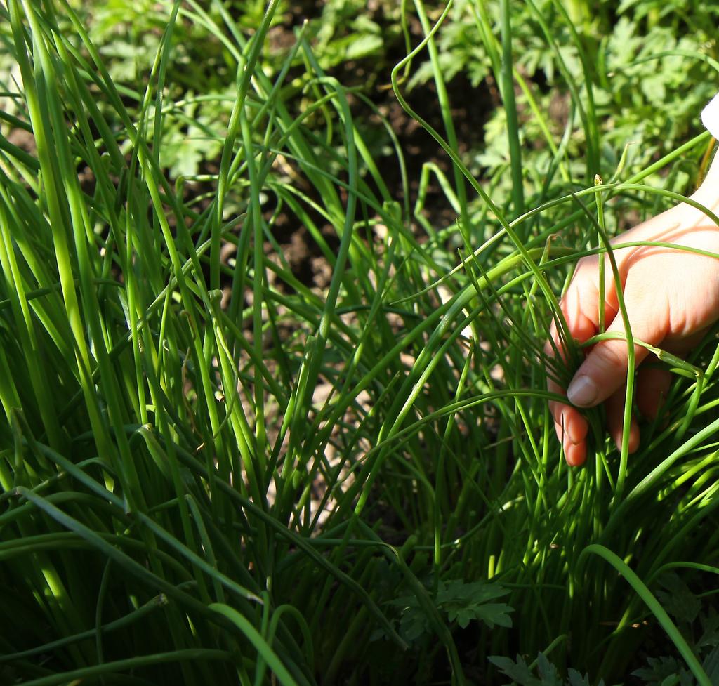 Vi bryr o om... NATUREN Omorg om vår natur och miljö går hand i hand med vårt engagemang i häla och välbefinnande.