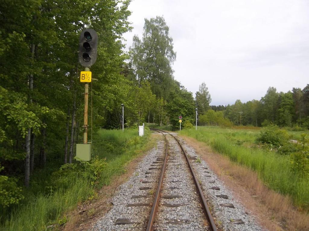 TILL PLANKORSNINGSOLYCKA VID