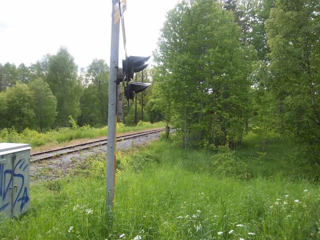 Bilaga 1 Bilder gällande siktförhållandena vid Ulvbygdsvägen.