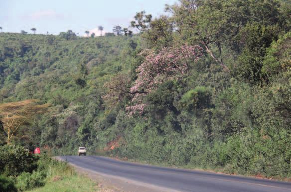 Inte alla vägar är dåliga i Kenya! Foto Göran Stenlund asfalterad. Asfalteringen av vägen mellan Homa Bay och Mbita, som berör Rukongo, har återupptagits.