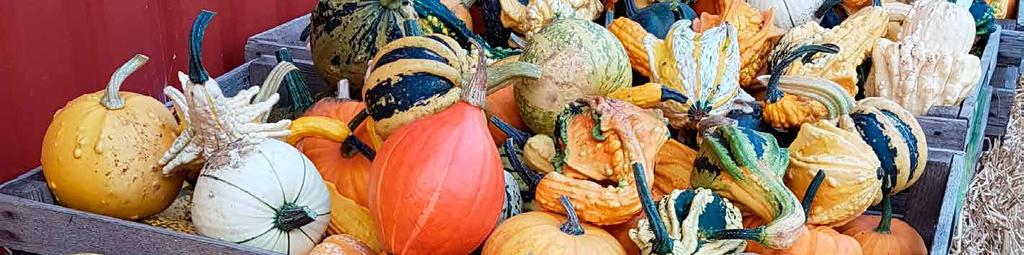 15.00 Halloweenfest Nybygget i Gubbängen När: 1 november kl. 14.00 17.