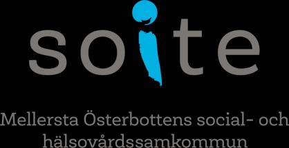 Intern instruktion 1 (22) PLAN FÖR EGENKONTROLL INOM SOCIALSERVICEN INNEHÅLL (Numreringen motsvarar föreskriftens) 1 UPPGIFTER OM SERVICEPRODUCENTEN (4.1.1).