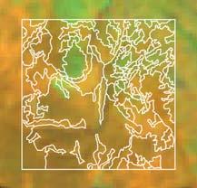 Figur 7. NILS-rutor för 5 års inventeringsomdrev (vänster), en NILS-ruta med 12 provytor (mitten), och flygbildstolkade polygoner med Landsat ETM i bakgrunden (höger).