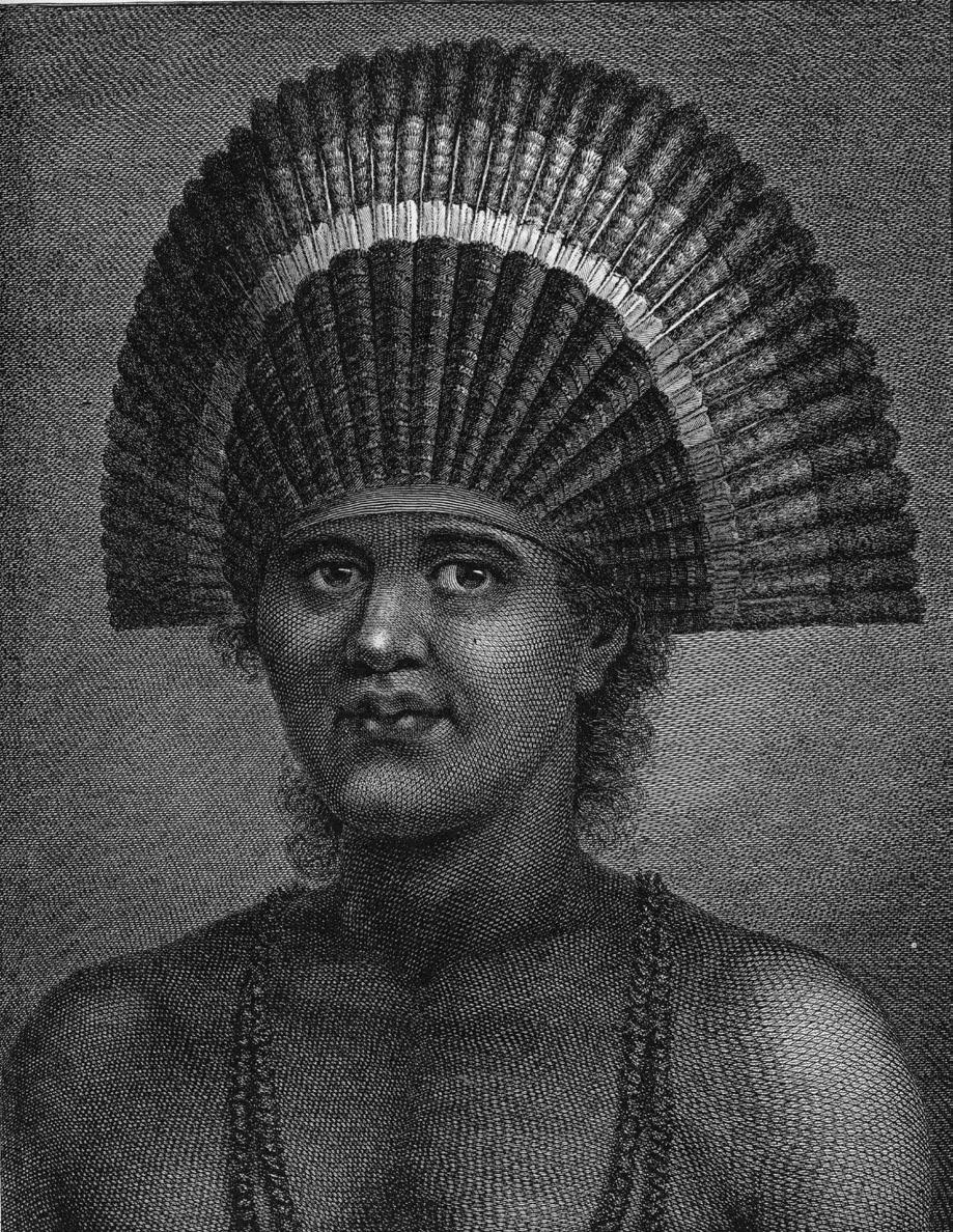 thomas malm Figur 2. Paulaho var Tui Tonga, den högst rankade hövdingen, vid Cooks besök 1777.