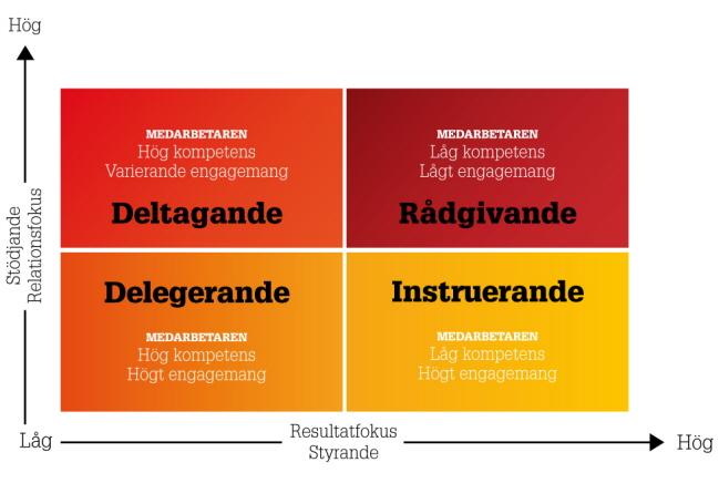 üen grupp mogna och erfarna medarbetare behöver inte instrueras i sina arbeten. üfår du däremot en ny medarbetare med liten eller ingen erfarenhet kan du behöva ge mer konkreta råd och instruktioner.