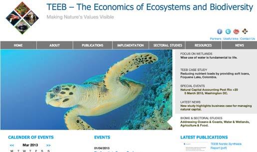 FÖRLUSTEN AV BIOLOGISK MÅNGFALD: LÅNGTGÅENDE EFFEKTER Convention on Biological Diversity (2004): At least 40