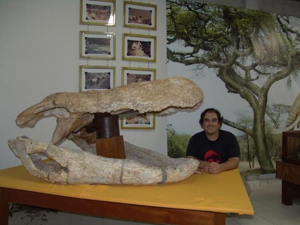 Purussaurus