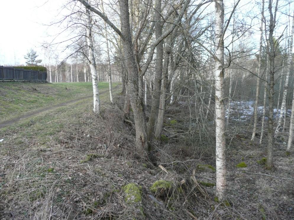 7.2 Grönstruktur Det finns god tillgång till natur- och rekreationsupplevelser i nära anslutning till planområdet.