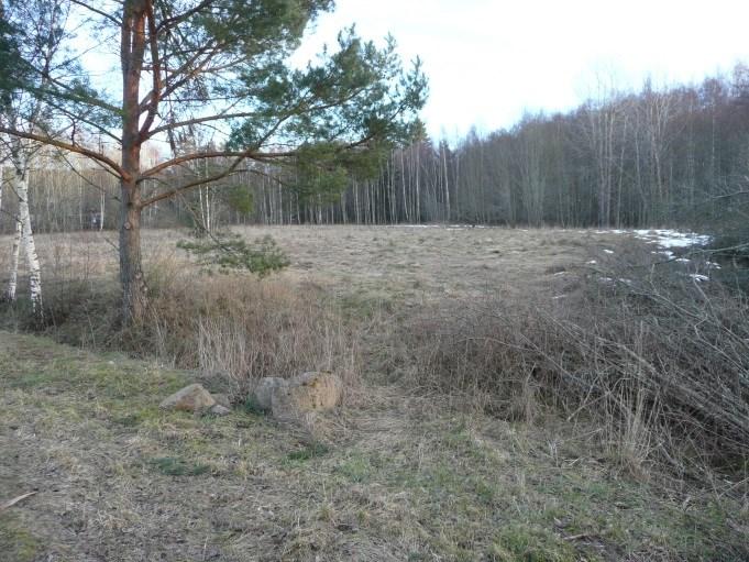 6.2 Markägarförhållanden Planområdet omfattar fastigheten Blodroten 1 samt del av Junkaremålen 2:1. Marken inom planområdet ägs av Tranås kommun. 6.