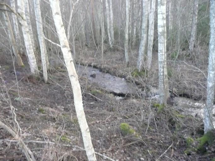 I östra delen av planområdet leder en mindre bäck. Överst tv: Planområdet sett från nordost. Överst th: Bäcken i östra delen av planområdet.