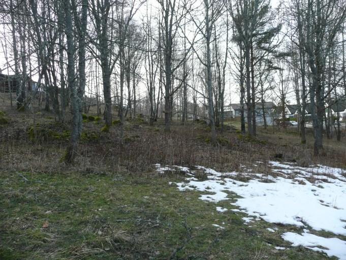 De lägre partierna föreslås i rekommendationerna i den geotekniska utredningen att fyllas upp med överskottsmassor från andra delar av kommunen, vilket delvis har gjorts i områdets norra del.