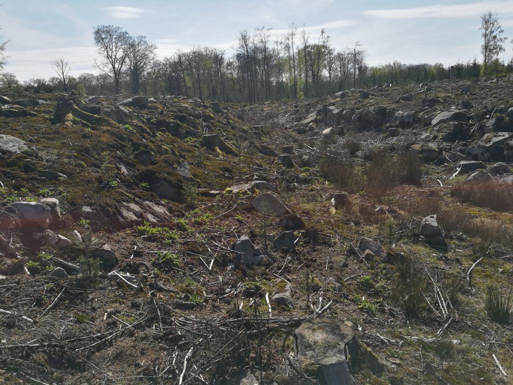 LiDARstudie av glaciala landformer sydväst om Söderåsen, Skåne, Sverige Björn Silvén Examensarbeten i geologi