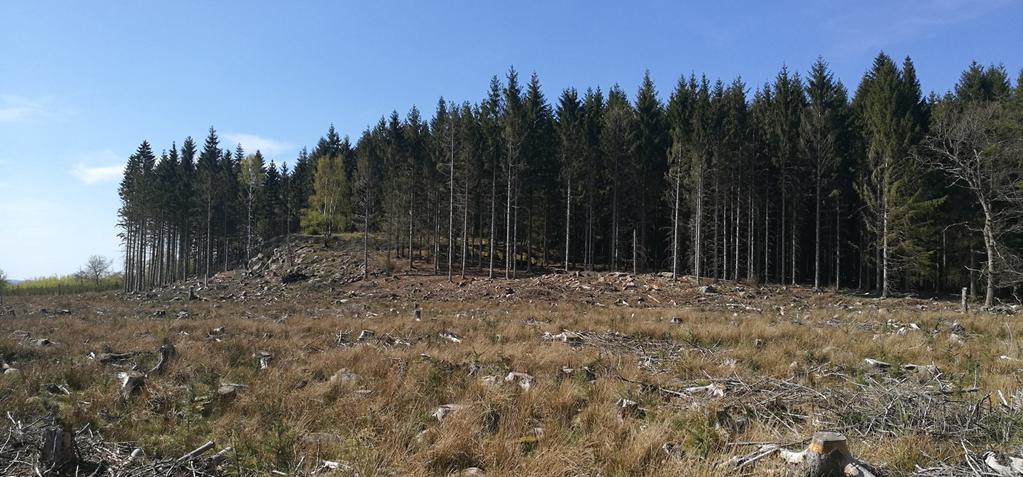 Fig. 4 Drumlinform av crag and tail typ, typisk för området uppe på Söderåsen. (56º5 49 N, 12º59 44 E) (Foto: Björn Silvén 2017) diagonalt genom den sydvästra delen av undersökningsområdet.
