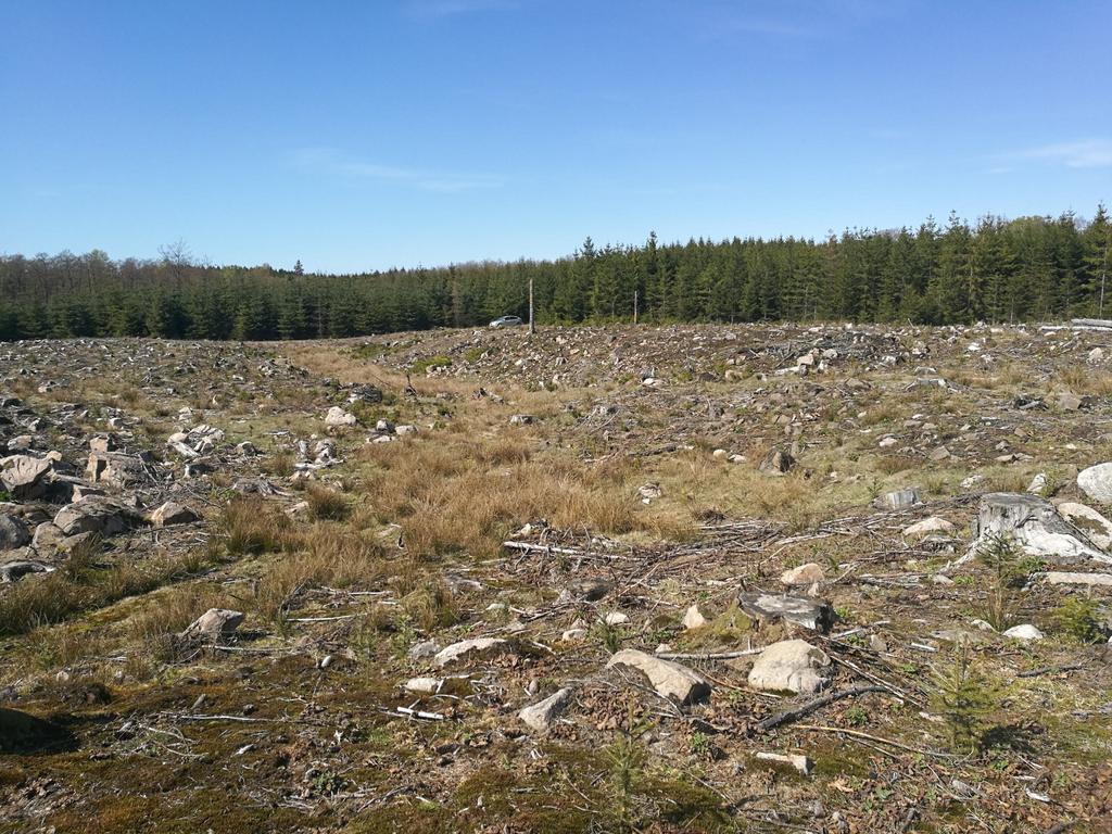 Detta gjorde det svårt och i vissa fall omöjligt att se mindre landformer En annan fördel är att LiDAR inte är lika känslig för vegetationstäckning av marken (Dowling et al. 2013).