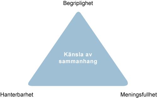 Vad är det som bidrar till hälsa?