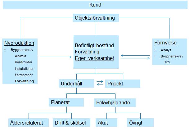 Systematik i