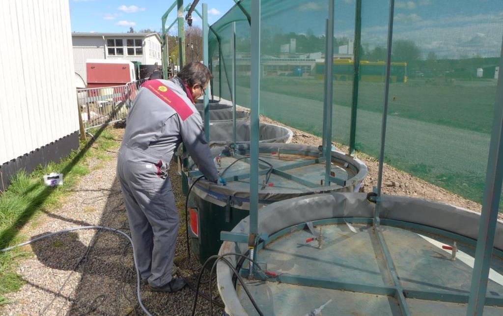 12 Figur 3. Pilotskaleanläggningen vid första gasmätningen den 23 april, 2015. 2.1.4 Laboratorieskala Laboratoriestudier utfördes för att bestämma metanbildningen vid olika temperaturer för samma gödsel och rötad gödsel som användes i pilotförsöket, figur 2.
