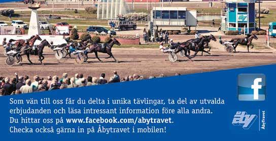 e Ready Cash - Fiolinda e Speedy Tomali Uppf: Ylitalo Jenny, Örebro 2 Äg: Ylitalo Esa, Lindesberg Vit, ljusblå sidor & ärmar; vit Lubrano Giuseppe DADOU 3 2,fux h.