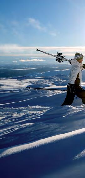 Så här arbetar SLAO 2020 KAPITALET Ägaren ser arenans fulla potential Finansiären trygg och långsiktig tilltro Investeraren krav på utveckling och avkastning 12.