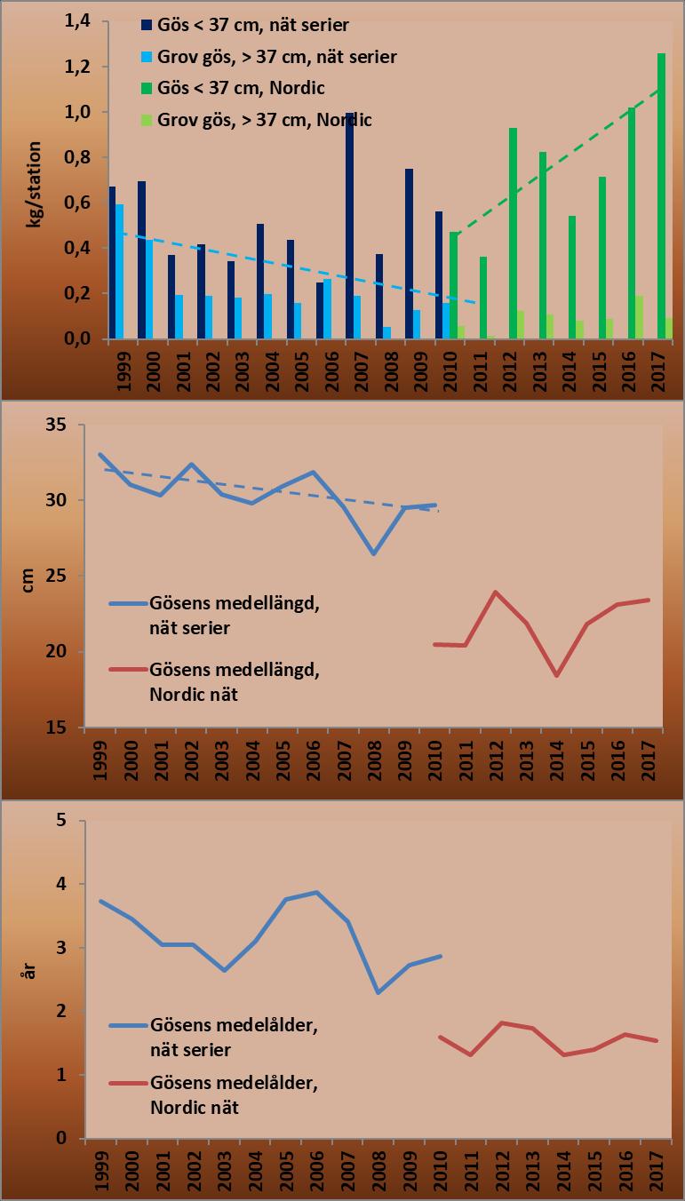 Indikatorer för nyckelarten gös Gös mindre än 37 cm har ökat signifikant under perioden 2010-2017. Det här är ett gott tecken, vilket antyder att förökningen fungerar.