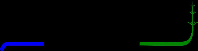 Asp i